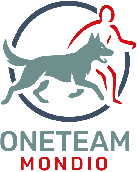ONETEAM MONDIO Logo